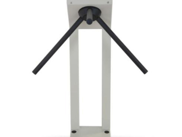 54c170cad72bb58d8ec56918989e0f4c