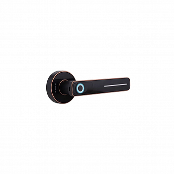 HOGO Smart Lock r01 black Дверной электронный замок